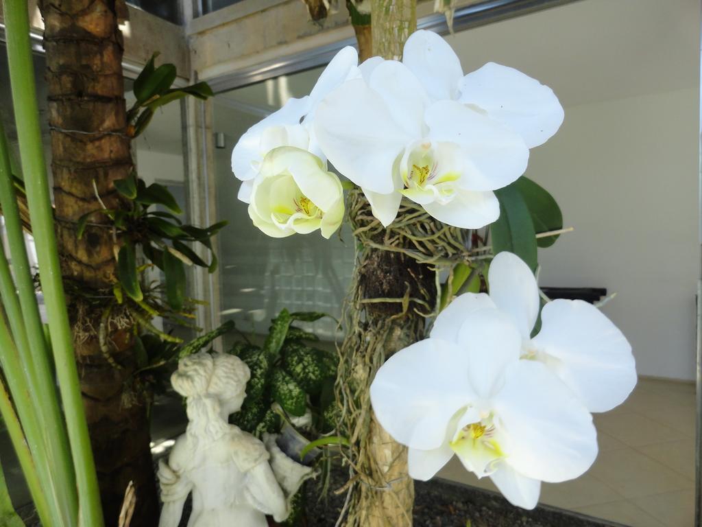 Pousada Orquideas กัวรูจา ภายนอก รูปภาพ
